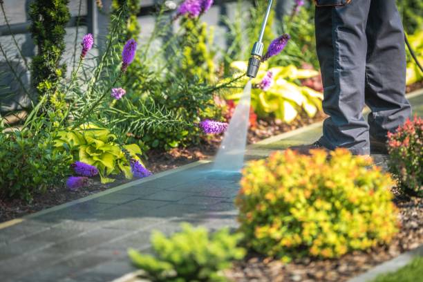 Best Spring Cleaning  in Springboro, OH