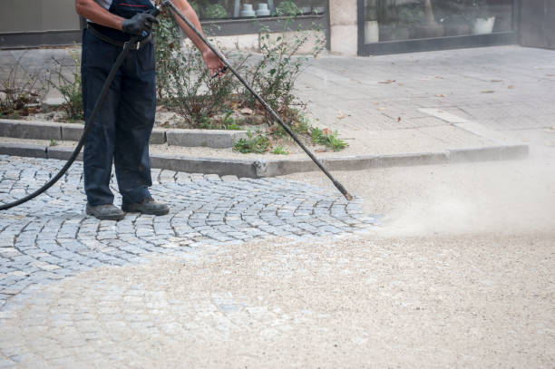 Best Animal Enclosure Cleaning  in Springboro, OH